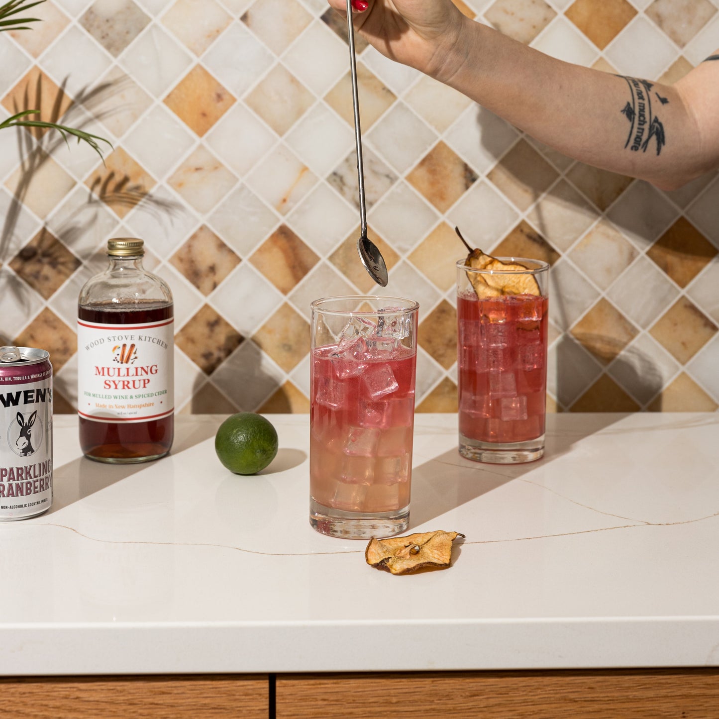 Gin, Spice & Cranberry Cocktail - American Cocktail Club